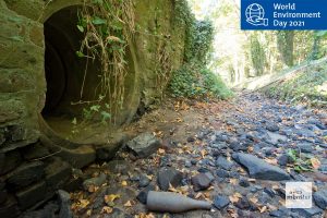 Viele Fließgewässer Münsters, wie hier der Kinderbach, sind im Sommer über lange Strecken nur noch trockene Gräben. (Foto: Michael Bührke)