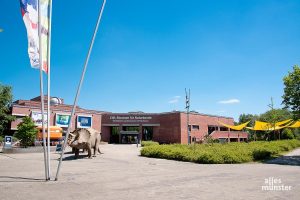 Nach seinem Umbau wird das Planetarium im Naturkundemuseum eins der modernsten Europas sein. (Archivbild: Michael Bührke)