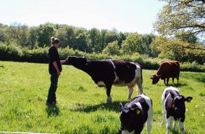 Ab dem 1. Februar können sich Interessierte um eine Stelle im Freiwilligen Ökologischen Jahr bewerben. (Foto: LWL/ Lakenbrink)