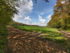 Wald und Wiesen um Gut Kinderhaus sind ein beliebtes Naherholungsziel. (Foto: LWL)