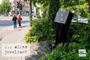 Die Gedenkstätte für die jüdischen Opfer des Holocaust in Münster liegt etwas versteckt an der Ecke Warendorfer Straße / Kaiser-Wilhelm-Ring (Foto: Michael Bührke)