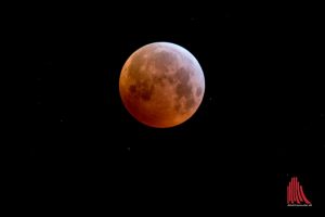 Durch die Mondfinsternis wurden die Sterne in der Nähe des Trabanten gut sichtbar. (Foto: Michael Bührke)