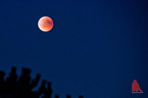 So, wie hier im Juli 2018 könnte es auch am Montagmorgen wieder über Münsters Nachthimmel aussehen. (Foto: Michael Bührke)