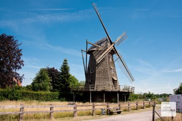 Die Windmühle in Lette. (Foto: Bührke)