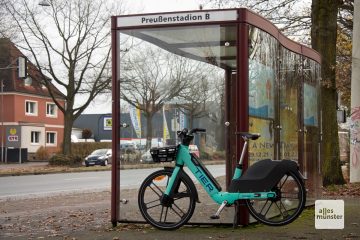 Der Idealfall: Mit dem öffentlichen Nahverkehr durch die Stadt und für die letzten hundert Meter das Mietrad (Foto: Bührke)