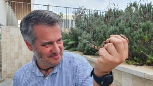 Philipp Wagner mit einer Europäischen Katzennatter. Das Foto entstand auf seiner jüngsten Wissenschaftsreise nach Israel, wo er im Dezember 2022 mit Kollegen die Verbreitungsgebiete der Reptilien untersucht hat. (Foto: Wagner)