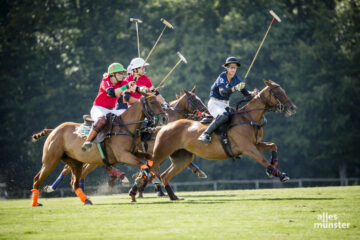 Die Athletinnen und Athleten zeigten vollen Einsatz beim diesjährigen Polopicknick. (Foto: Claudia Feldmann)