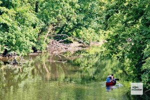 Der Amazonas des Münsterlandes: Die Werse. (Foto: Michael Bührke)