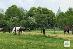 Münsterlandidyll in Bösensell. (Foto: Bührke)