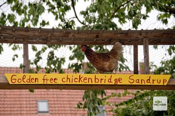 Die "Golden Free Chicken Bridge" in Sandrup (Foto: Michael Bührke)
