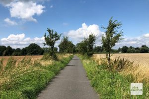 Die Tour führt fast ausschließlich über abgelegene, ruhige Wege und Straße (Foto: Bührke)