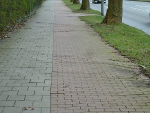 Starke „Wurzelschäden“ machen eine Erneuerung der Geh- und Radwege an der Wolbecker Straße zwischen Mondstraße und Laerer Landweg nötig. (Foto: Stadt Münster)