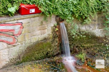 Direkt neben dem Rohr mit dem abgepumpten Grundwasser steht die geheimnisvolle rote Kiste. (Foto: Michael Bührke)