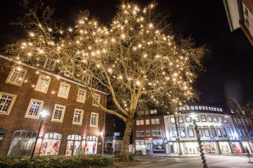 11.000 LED-Lichter an 50 Bäumen sorgen für weihnachtlichen Glanz. Zum Leuchten bringt sie Ökostrom. (Foto: Stadtwerke Münster)