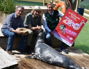 (v.l.:) Nicolas Leibel, Steffi Stephan und Christoph Nientiedt (Allwetterzoo) freuen sich auf das Straßenkünster-Festival im Allwetterzoo. (Foto: Allwetterzoo)