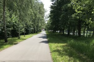 An dieser Fahrradstraße installiert das Amt für Mobilität und Tiefbau eine intelligente Beleuchtung. (Foto: Stadt Münster)