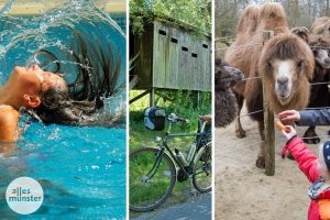 Keine Langeweile an Ostern: In Münster ist um die Feiertage einiges los. (Foto: Bildmontage / CC0 / Michael Bührke / Thomas Hölscher)