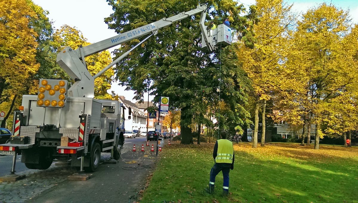 An der Promenade steht der erste Baum, der mit den Lichterketten geschmückt wird. (Foto: Stadtwerke)