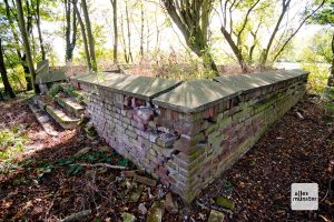 Die Relikte der "Nagelungsstätte" am Horstmarer Landweg (Foto: Bührke)