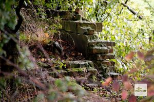 Die Überreste der Nagelungsstätte am Horstmarer Landweg (Foto: Bührke)