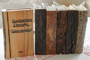 Die sechs Bände aus dem Bauernhausmuseum Rohrdorf im Achentaler Heimathaus der seltenen, modernen Xylothek sind ab dem 25. Juni in der Sonderausstellung "Alleskönner Wald" in Münster zu sehen. (Foto: Simon Hausstetter)