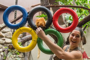 Revierleiterin Teresa Ludwig stellt die tierische ZOOlympiade vor. (Foto: th)