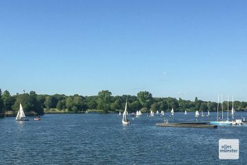 Die Stadt Münster überwacht die Wasserqualität des Aasees. (Foto: Thomas Hölscher)