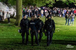 Ein breites Bündnis von Parteien hat gestern im Stadtrat beschlossen, dass der Aasee-Bereich künftig intensiver kontrolliert werden soll. (Archivbild: Thomas Hölscher)