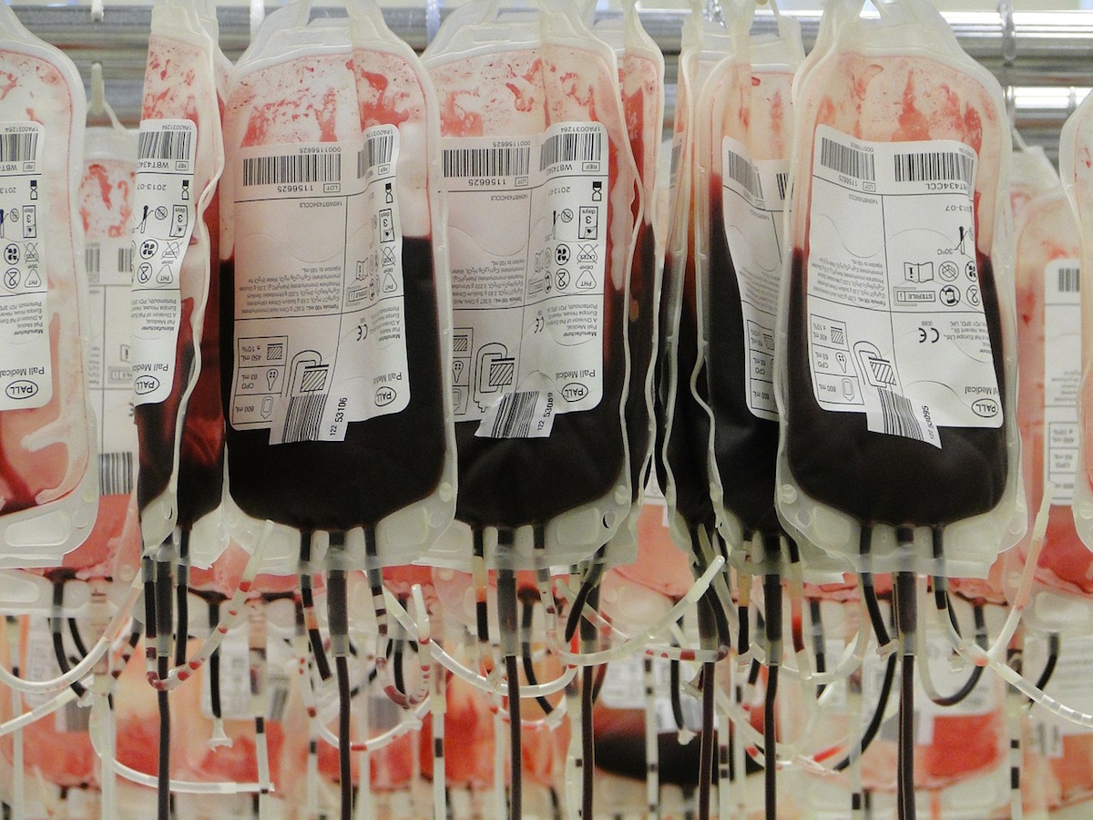 Weniger Blutspender während der Herbstferien: Spenderinnen und Spender mit der Blutgruppe 0 Rhesus (D)-negativ werden dringend gesucht. (Foto: CC0)