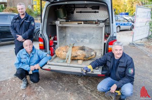 (v.l.:) Peter Asmussen, Heinz-Dieter Berchem und Karl-Friedrich Schröder vom Kampfmittelbeseitigungsdienst der Bezirksregierung zeigen die unschädlich gemachte Bombe. (Foto: th)