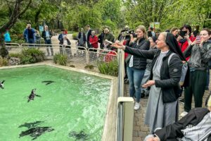 Die Clemensschwestern zu Besuch bei den Brillenpinguinen im Zoo: Generalrätin Schwester Angelique Keukens füttert die ersten Heringe. (Foto: Thomas Hölscher)