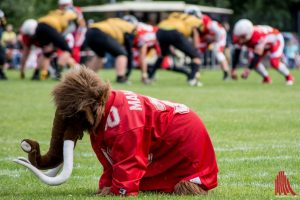 Für Ladies & Juniors: Am 9. Februar findet das nächste American Football Camp der Münster Mammuts statt. (Archivbild: Thomas Hölscher)