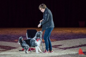 Multitalent 2015 "Mumford" und Frauchen Charly Arzberger kamen gerne zurück nach Münster. (Foto: th)