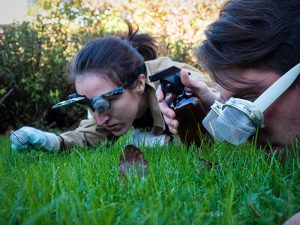 In der partizipativen Theaterinstallation „mikroGiganto“ können kleine und große Forscher ab 7 Jahren in die Welt der Insekten auf ungewöhnliche Weise eintauchen. (Foto: Nina Krücken)