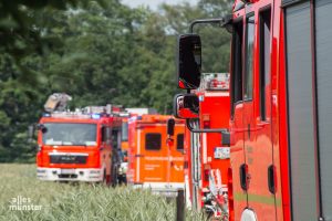 Die Feuerwehr wurde zu einem Brand nach Münster-Handorf gerufen. (Archivbild: Thomas Hölscher)