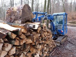 Die Gehölzarbeiten an der Umgehungsstraße dauern länger als geplant. (Symboldbild: CC0)