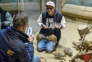 ALLES MÜNSTER mit Patentier Gerd und den anderen Erdmännchen im Allwetterzoo. (Foto: so)