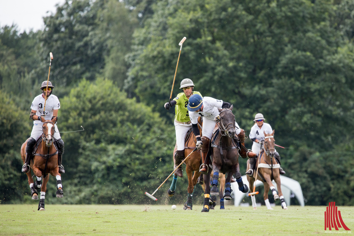 Rasant geht es beim Polosport zu. (Foto: cf)