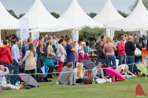 Westfälische Gemütlichkeit am Spielfeldrand beim Picknick. (Foto: cf)