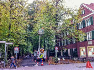 Mitarbeiter der Stadtwerke schmücken die ersten Bäume im Innenstadtbereich. (Archivbild: th)