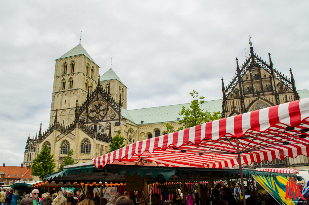 Der Wochenmarkt findet auch zum Stadtfest statt. (Foto: th)