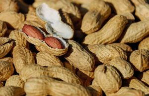 Kleine Mengen an Erdnüssen können bei Allergikern starke Reaktionen bis hin zum lebensbedrohlichen anaphylaktischen Schock auslösen.