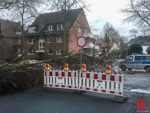 Im Stadtgebiet stürzten schätzungsweise 50 Bäume um. (Foto: th)