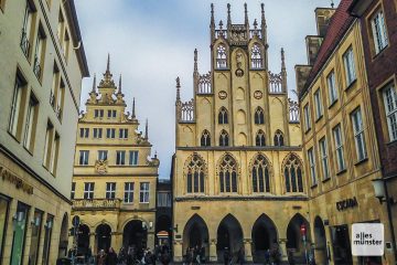 Am Abend wurde im Rathaus bei der Ratssitzung der Klimanotstand für Münster ausgerufen. (Archivbild: Thomas Hölscher)