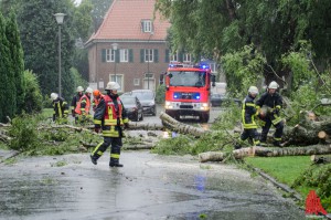 Umgestürzte Bäume, wie hier an der Dechaneischanze beim einem vergangenen Sturm, beschäftigten auch heute die Einsatzkräfte. (Archivbild: th)