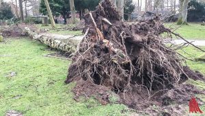 Auch im Schlosspark stürzten Bäume um. Die Gefahrenstellen wurden bereits beseitigt. (Foto: cabe)