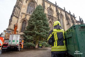 Mit Unterstützung der Berufsfeuerwehr Münster wurde am Morgen auf dem Lambertikirchplatz die 18 Meter hohe Weihnachtstanne aufgestellt. (Foto: Michael Bührke)