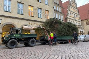 Am Morgen rollte die große Weihnachtstanne durch Münsters Gute Stube. (Foto: Bastian E.)