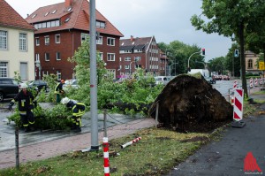 Umgestürzte Bäume beschäftigen die Feurwehr. (Foto: Thomas Hölscher)