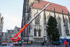 Der Kran der Feuerwehr Münster hievte die Nordmanntanne an ihren Standort auf dem Lambertikirchplatz. (Foto: cabe)